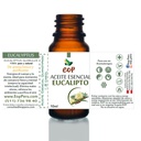 Aceite Esencial de Eucalipto