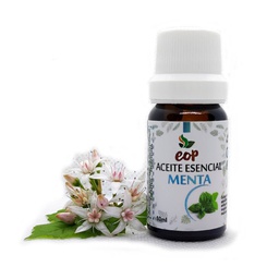 Aceite Esencial de Menta